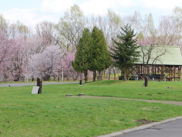 LI[gTCg_Ђ Xь I[gLv t[