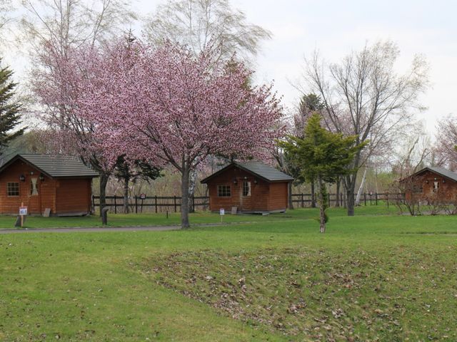 Re[W_Ђ Xь I[gLv t[