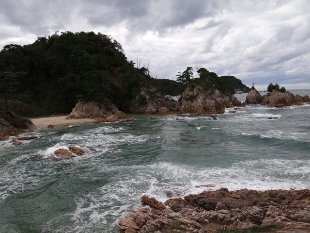 ܂[񂳂̐eC݂̓eʐ^1