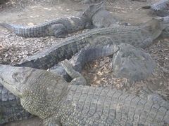 �͂��ԁ[����̋S�R�n���ւ̓��e�ʐ^1