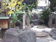 ܂[񂳂̔mԂ̋i䓰j̓eʐ^1