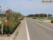 񂳂̃Iz[cNEX̓eʐ^2