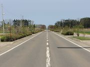 񂳂̃Iz[cNEX̓eʐ^3