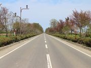 񂳂̃Iz[cNEX̓eʐ^4