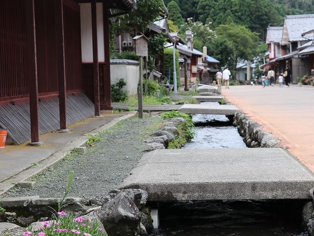 �����L�x�ł��B_�F��h