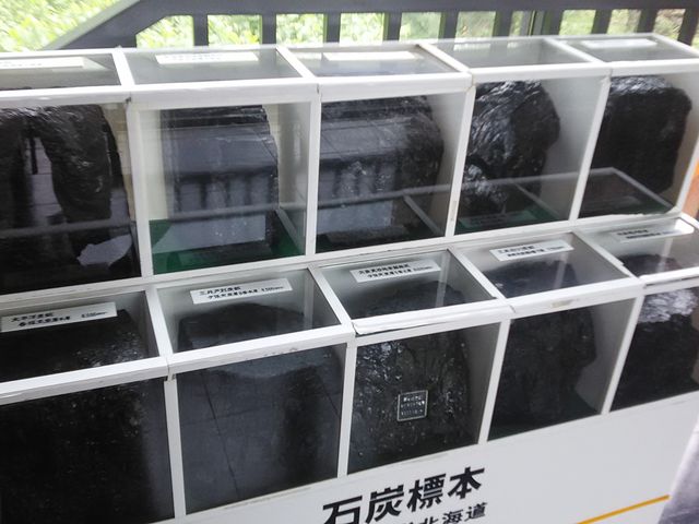 �ٓ��W���Q�l�R_�ΒY������