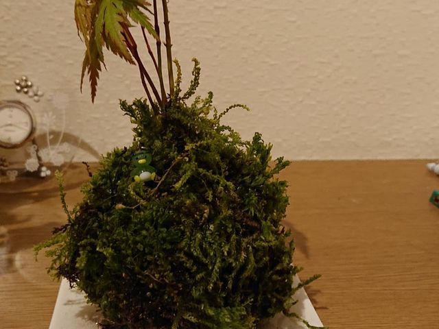 ������������܂���_�ޗǔ����c�[���Y��Waikaru