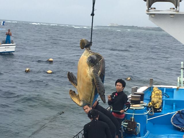 E~K͍`ŃTCY𑪂ĂCɖ߂܂_ǒJƋg