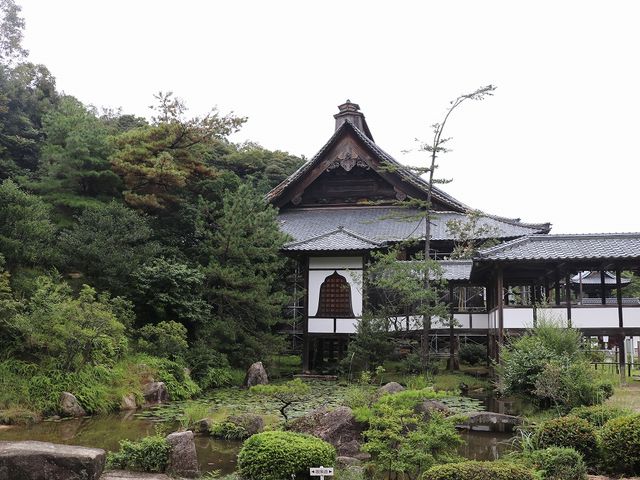 西福寺書院庭園】アクセス・営業時間・料金情報 - じゃらんnet