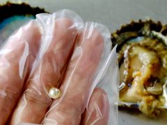 Ⴗ̐^H[@^̗ւ̓eʐ^1