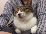 ƂƂ낳̐󑐂˂̓eʐ^1