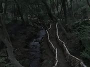 panchan̖뎩Rώ@̓eʐ^6