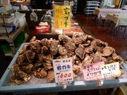 w-masa̋̉wunvƂꂽĊق̓eʐ^1