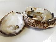 w-masa̋̉wunvƂꂽĊق̓eʐ^2