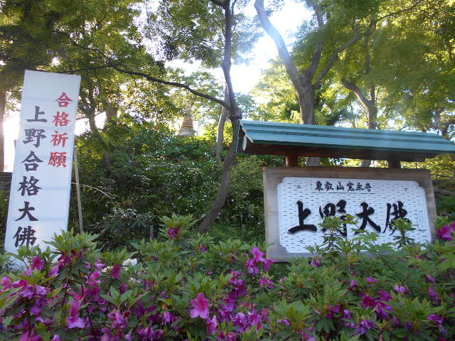 ���啧_���啧