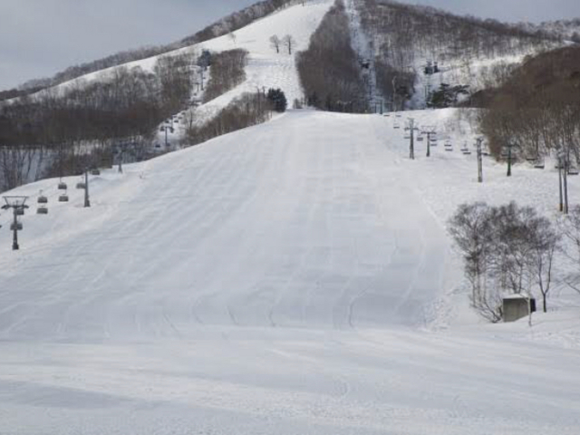 �Ђ낢�ł�_���������X�L�[��