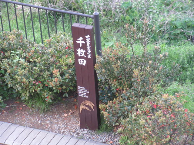 �疇�c�ē�_���̉w �疇�c�|�P�b�g�p�[�N