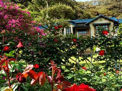 �܂��񂳂�́y�ߘa5�N�x����ߘa8�N�x�܂ł�4�N�ԋx�فz���q���w�قւ̓��e�ʐ^1