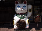 }V[݂̂₰̃}JLXE𑠊ق̓eʐ^2