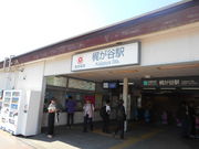 �g�V���[����̓��}�c���s�s���@�����J�w�̓��e�ʐ^1