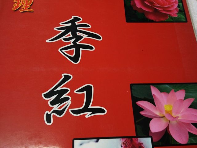 ̑p@lGg yYX̓eʐ^5