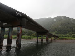 �p�s��������̎l���\�쉮�`�D�@�Ȃ��Ƃ��ւ̓��e�ʐ^1