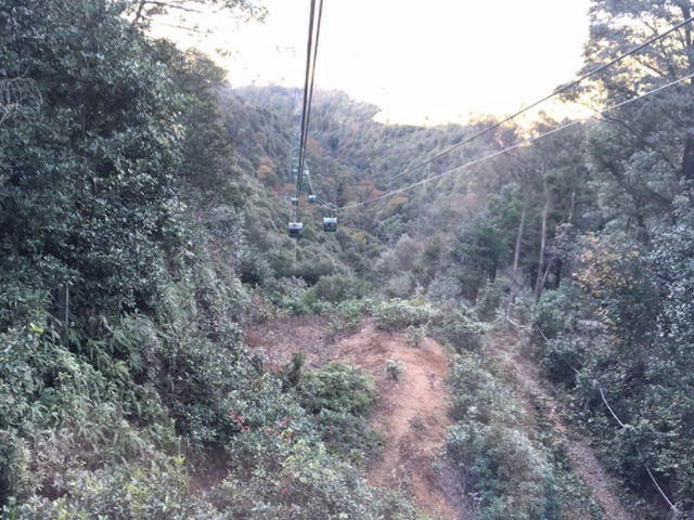 �R�̌i�F_���R�郍�[�v�E�F�C�E���t�g