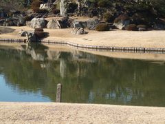 �C�I������̘Z�`���@�o���̖��ւ̓��e�ʐ^1