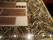 yosshỹ^CK[J[̓eʐ^1