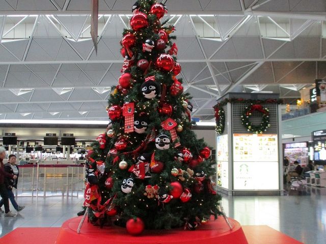 �Z���g���A��`�A�N���X�}�X�c���[_�������ۋ�`�@�Z���g���A