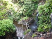 ÐhF̒VE₷炬̓̓eʐ^2