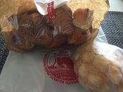 poporon̓̉wb̗̓eʐ^1