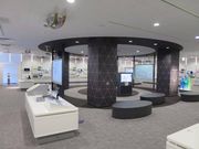 i̎YƋZpTCGXEXNGA΂̓eʐ^1