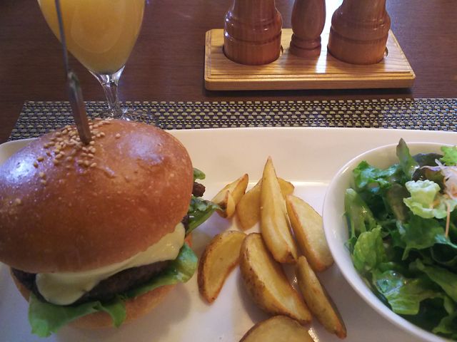 ��ˋ��o�[�K�[_���C����@������