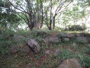 ����1962����̉��È��Ղ̓��e�ʐ^4