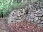 ����1962����̉��È��Ղ̓��e�ʐ^5