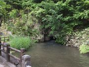 jkammy07̌˃m̓eʐ^1