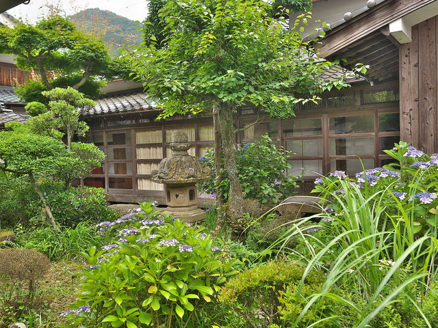 sklfh̐쎑فi쏑@j̓eʐ^1