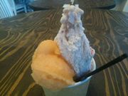 yosshỹWF[g AX JtF WFrbg̓eʐ^2