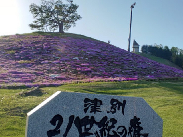 ���̎������A�P�{�������ɗ��Ă���܂��O�O_�Õʒ��Q�P���I�̐X