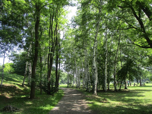 ���h�Ȗ؂���ۓI_�΃��u�����E�O���[���p�[�N�i400m�x���`�j