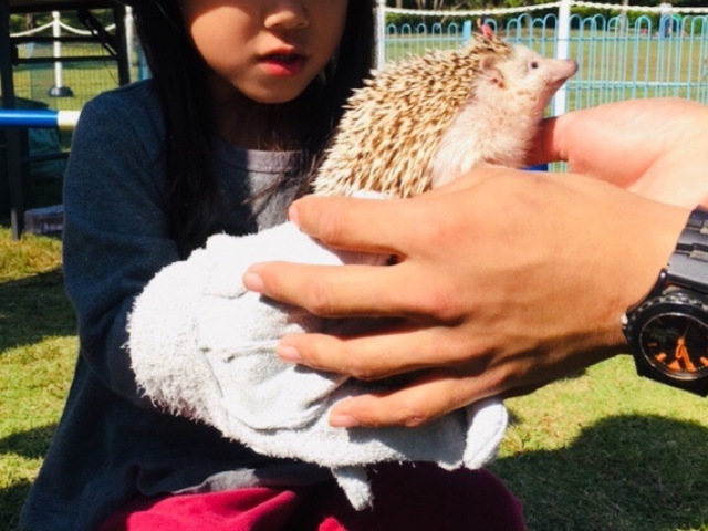 �n���l�Y�~������_�ؑ]��c���]�Βn