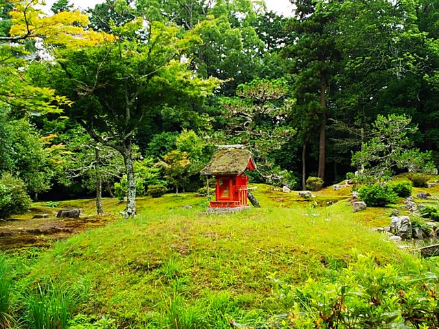 �뉀_������