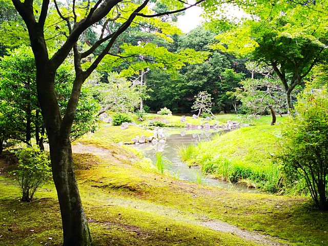 �뉀_������