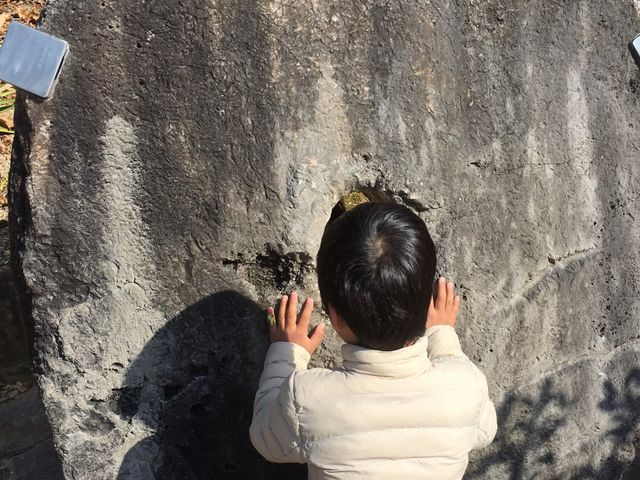 �΂̂���_��O���������ك��g�����[���h