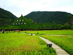 ˂񂳂̃R[i ߍ]ւ̓eʐ^1