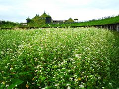 �˂�����񂳂�̂ւ̓��e�ʐ^6