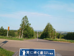 Sakura̒mΗ Vɑւ̓eʐ^1