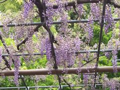 ɂႨ̙֑ɗ̓ւ̓eʐ^1