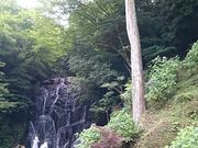 񂿂񂳂̔̑R[X̓eʐ^1